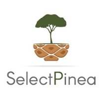 SelectPinea - Desenvolvimento de marcadores genéticos para ... Imagem 1