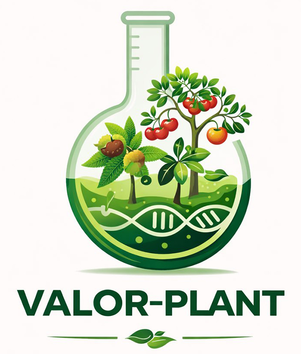 VALOR-PLANT: Valorizar e Conservar as Espécies Fruteiras da ... Imagem 1
