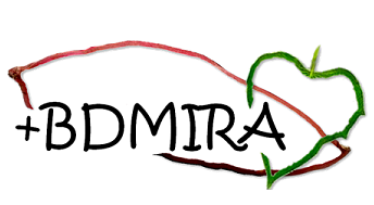 +BDMIRA - Batata-doce competitiva e sustentável no ... Imagem 1