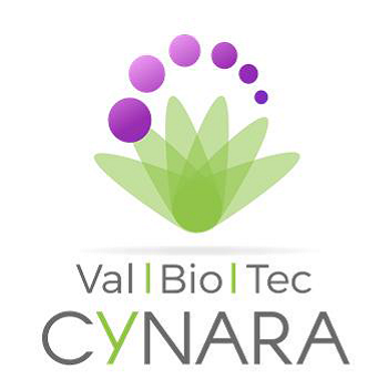 ValBioTecCynara - Valorização Económica do Cardo (Cynara ... Imagem 1