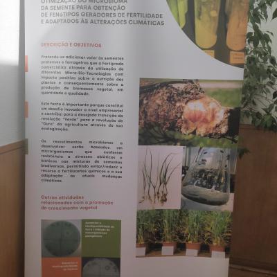 Ecoseed09