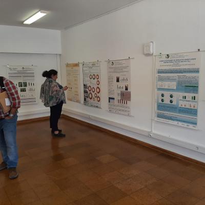 7 Simposio Ptaas22d