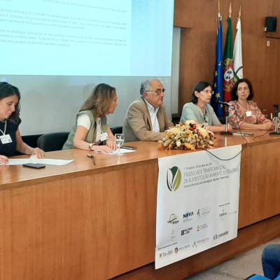 7 Simposio Ptaas30