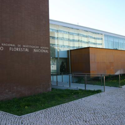 Ximg 8686