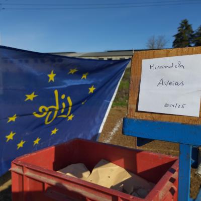 Cultivo De Aveia No Polo De Inovao De Mirandela Da Ccdr N Dezembro De 2024 Foto Palombar