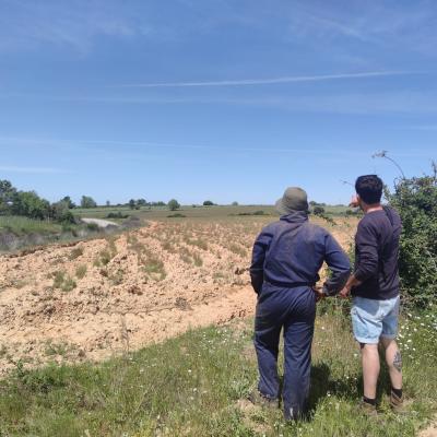 Contacto Com Agricultor Foto Palombar