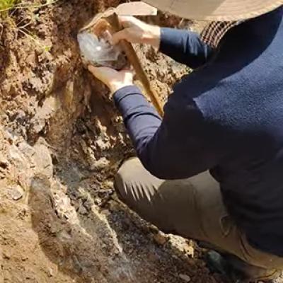 Dia Campo Barrancos5