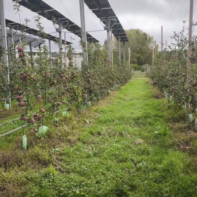 Img 20251021 153247 Img 20251021 153247