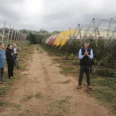 Img 20251021 161851 Img 20251021 161851