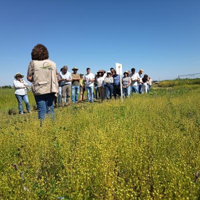Dia Agricultor 2026 14