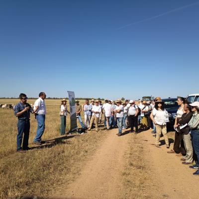 Dia Agricultor 2026 18