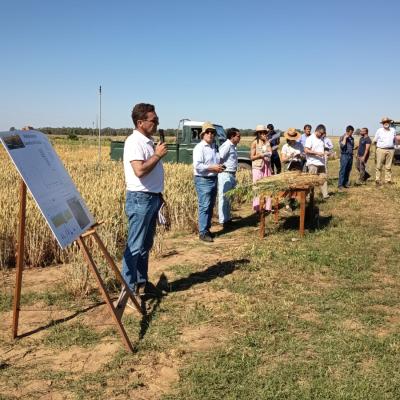 Dia Agricultor 2026 19
