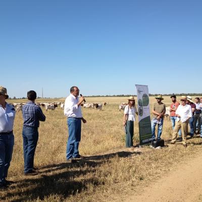 Dia Agricultor 2026 6
