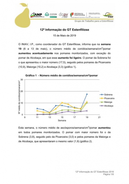 12ª Informação do GT Estenfiliose 2019 Imagem 1