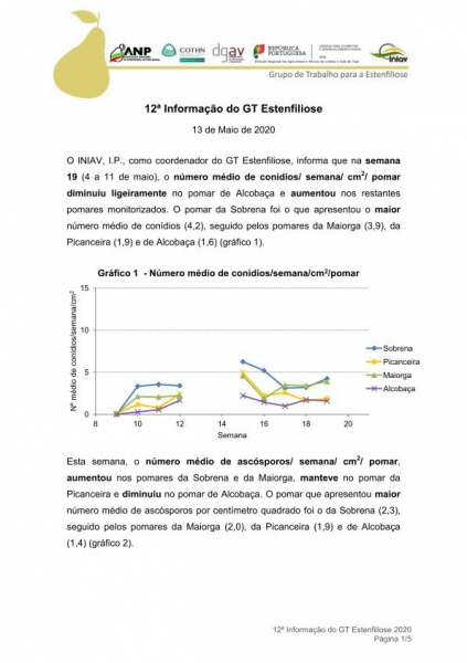 12ª Informação do GT Estenfiliose 2020 Imagem 1