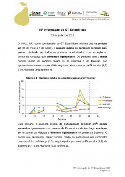 15ª Informação do GT Estenfiliose 2020 Imagem 1