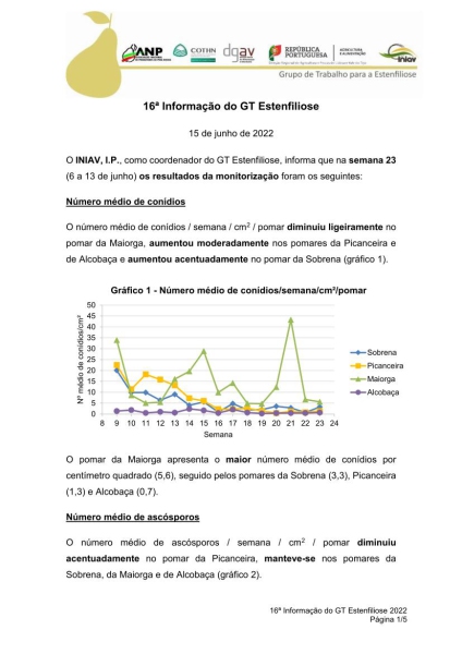 16ª Informação do GT Estenfiliose 2022 Imagem 1