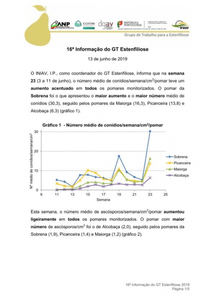 16ª Informação do GT Estenfiliose 2019 Imagem 1