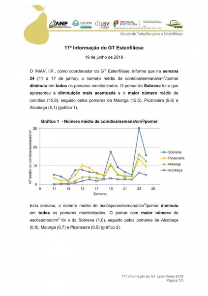 17ª Informação do GT Estenfiliose 2019 Imagem 1