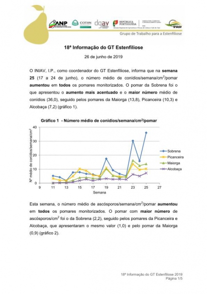 18ª Informação do GT Estenfiliose 2019 Imagem 1