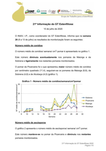 21ª Informação do GT Estenfiliose 2020 Imagem 1