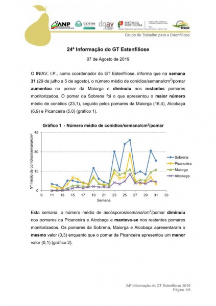 24ª Informação do GT Estenfiliose 2019 Imagem 1