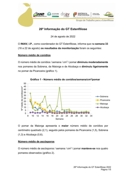 26ª Informação do GT Estenfiliose 2022 Imagem 1