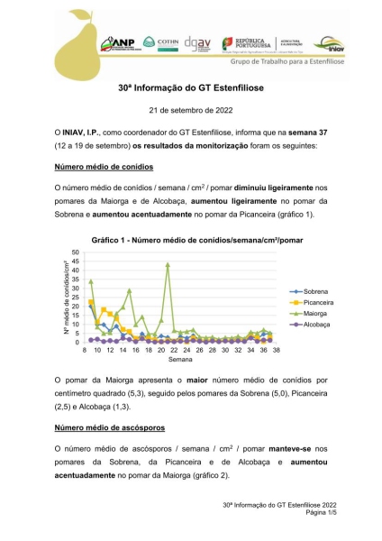 30ª Informação do GT Estenfiliose 2022 Imagem 1