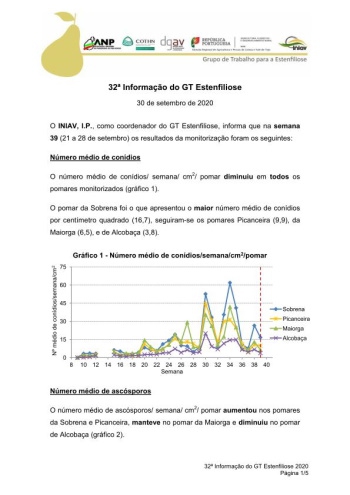 32ª Informação do GT Estenfiliose 2020 Imagem 1