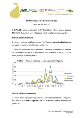 36ª Informação do GT Estenfiliose 2020 Imagem 1