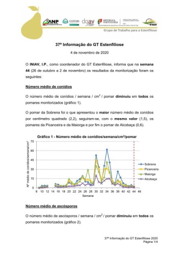 37ª Informação do GT Estenfiliose 2020 Imagem 1