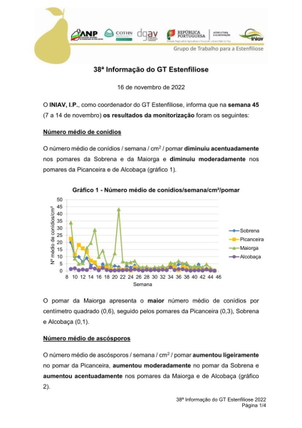 38ª Informação do GT Estenfiliose 2022 Imagem 1
