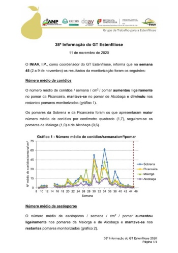 38ª Informação do GT Estenfiliose 2020 Imagem 1