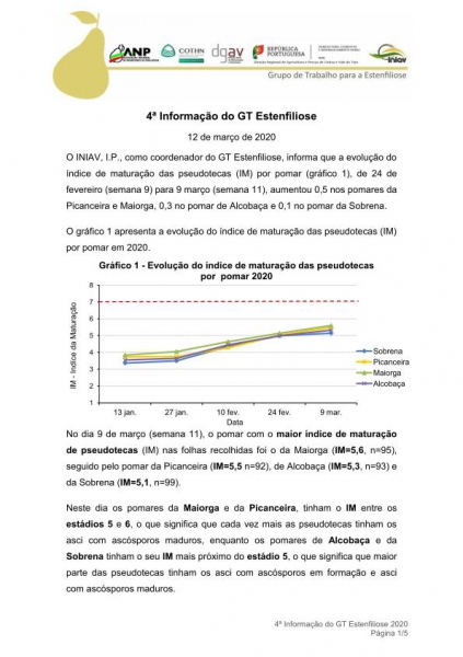 4ª Informação do GT Estenfiliose 2020 Imagem 1