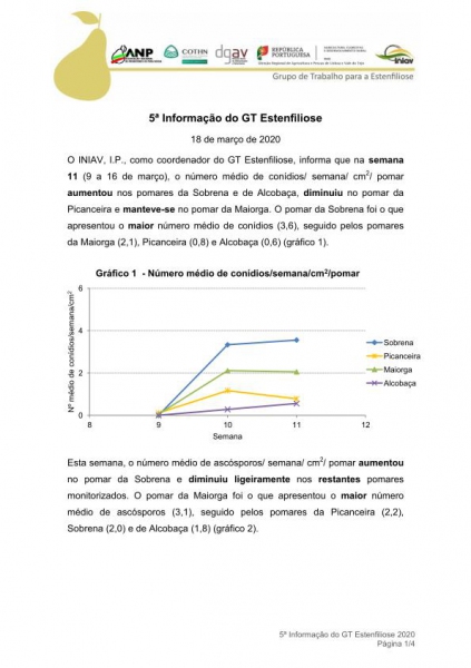 5ª Informação do GT Estenfiliose 2020 Imagem 1