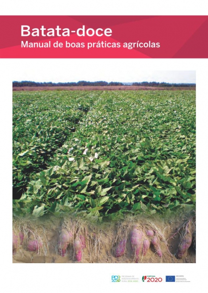 Batata-doce. Manual de boas práticas agrícolas Imagem 1