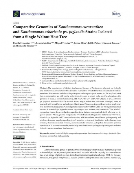 Comparative Genomics of Xanthomonas euroxanthea and Xanthomo ... Imagem 1