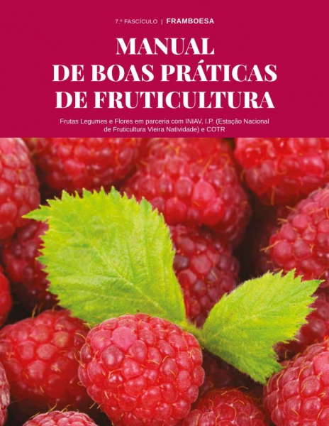 Manual de Boas Práticas de Fruticultura - Framboesa Imagem 1