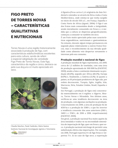FIGO PRETO DE TORRES NOVAS – CARACTERÍSTICAS QUALITATIVAS E ... Imagem 1