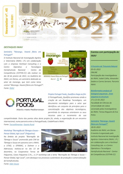 INIAV - Newsletter Semanal nº 45/2021 Imagem 1