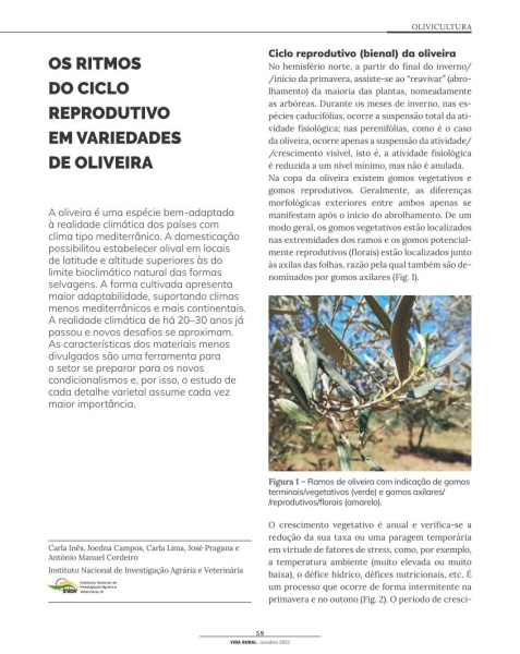 OS RITMOS DO CICLO REPRODUTIVO EM VARIEDADES DE OLIVEIRA Imagem 1