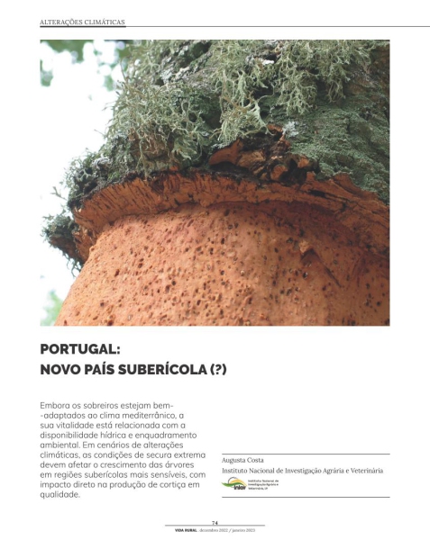 PORTUGAL: NOVO PAÍS SUBERÍCOLA (?) Imagem 1