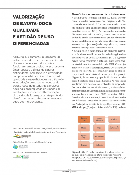 VALORIZAÇÃO DE BATATA-DOCE: QUALIDADE E APTIDÃO DE USO ... Imagem 1