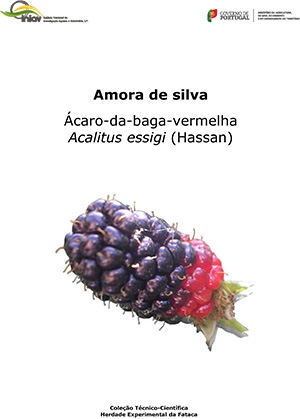 Amora de silva. Ácaro-da-baga-vermelha Acalitus essigi ... Imagem 1