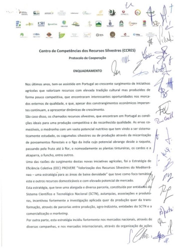 Protocolo de constituição do Centro de Competências dos Recu ... Imagem 1