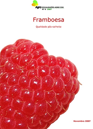 Framboesa - Qualidade Pós-Colheita Imagem 1