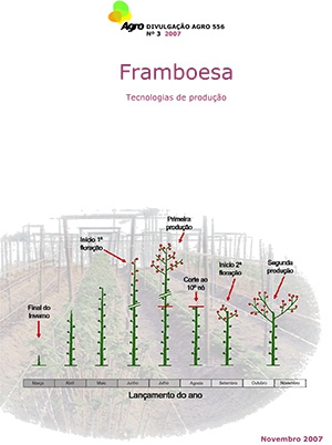 Framboesa - Tecnologias de Produção Imagem 1