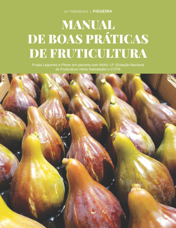 Manual de Boas Práticas de Fruticultura - Figueira Imagem 1