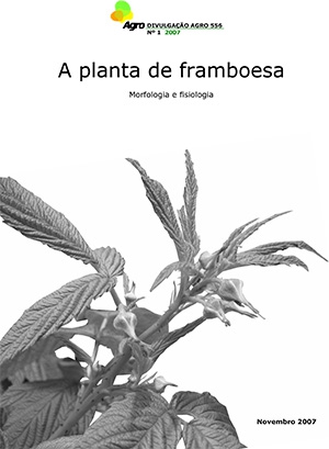 A Planta de Framboesa - Morfologia e Fisiologia Imagem 1