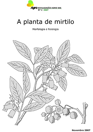 A Planta de Mirtilo - Morfologia e Fisiologia Imagem 1